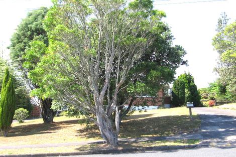 Photo of property in 5 Gilliam Street, New Lynn, Auckland, 0600