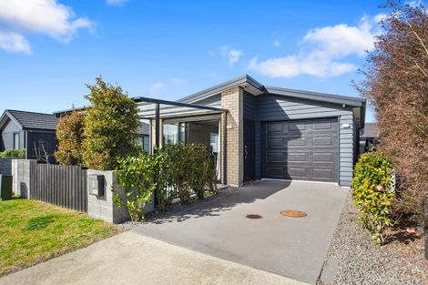 Photo of property in 51 Crown Street, Papamoa, 3118