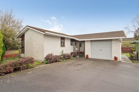 Photo of property in 20 Totara Street, Lansdowne, Masterton, 5810