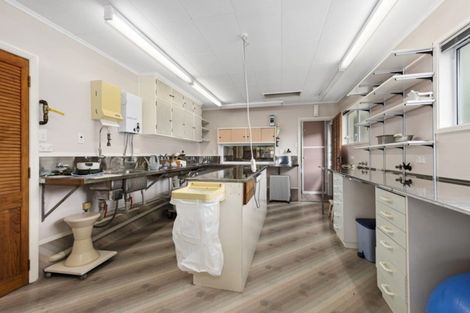 Photo of property in 53 Brentwood Street, Trentham, Upper Hutt, 5018