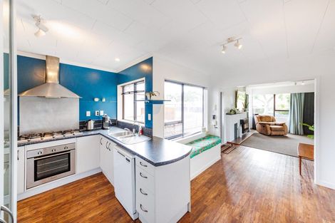 Photo of property in 478 Ruahine Street, Terrace End, Palmerston North, 4410