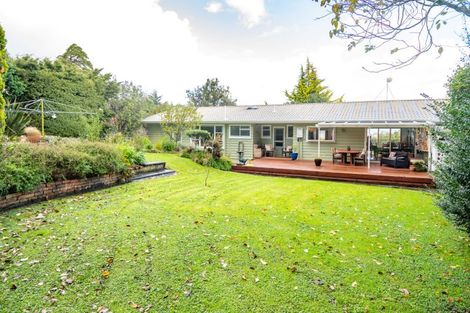 Photo of property in 41 Ayton Street, Mangapapa, Gisborne, 4010