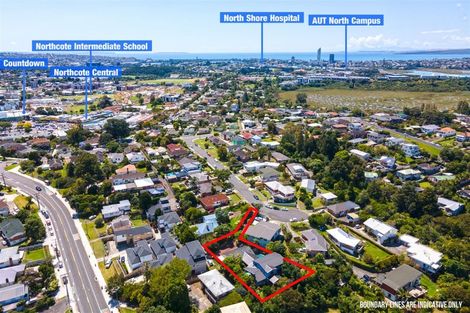 Photo of property in 19 Dudding Avenue, Northcote, Auckland, 0627