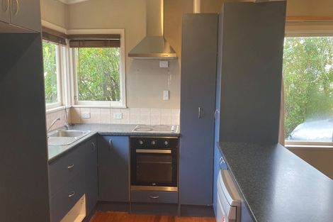 Photo of property in 62 Fitzroy Avenue, Fitzroy, Hamilton, 3206