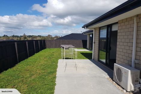 Photo of property in 41 Ladeira Place, Fitzroy, Hamilton, 3206