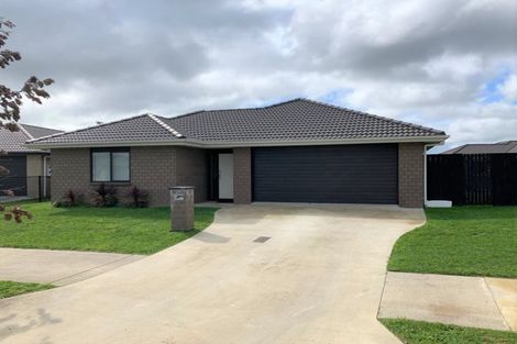 Photo of property in 25 Briannarose Drive, Fitzroy, Hamilton, 3206