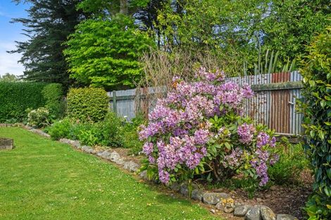 Photo of property in 38 Lincoln Road, Carterton, 5713