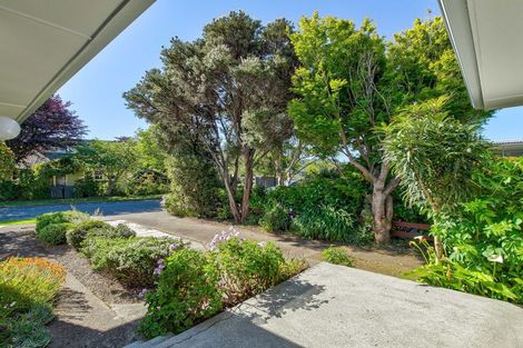 Photo of property in 4 Chesney Street, Avalon, Lower Hutt, 5011