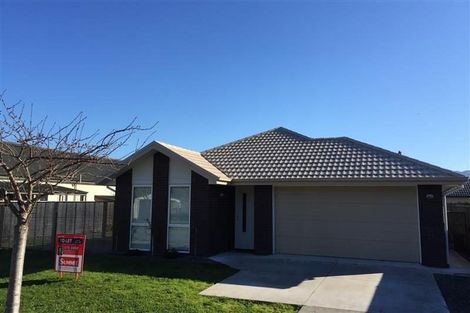 Photo of property in 10 Wilson Street, Renwick, 7204