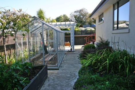 Photo of property in 21 Dame Street, Waikouaiti, 9510