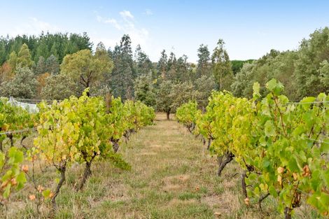 Photo of property in 105 Te Maire Road, Kahutara, Featherston, 5771