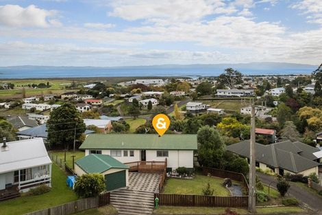 Photo of property in 404 Millington Place, Thames, 3500