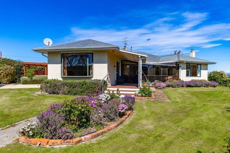 Photo of property in 189 Selmes Road, Rapaura, Blenheim, 7273