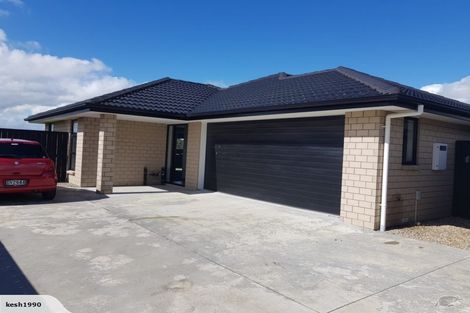 Photo of property in 41 Ladeira Place, Fitzroy, Hamilton, 3206