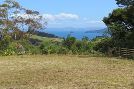 Photo of property in 1090 Driving Creek Road, Coromandel, 3583