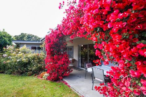 Photo of property in 1498 Napier Road, Ashhurst, 4810