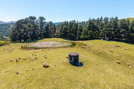 Photo of property in 495 Towai Road, Waione, Dannevirke, 4971