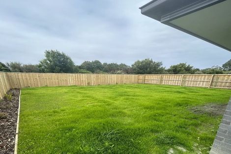 Photo of property in 41 Henshaw Street, Woodend, 7610