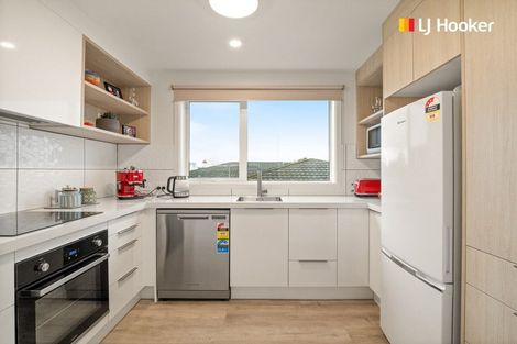 Photo of property in 17b Bruce Street, Roslyn, Dunedin, 9011