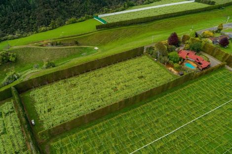 Photo of property in 706 No 1 Road, Te Puke, 3182