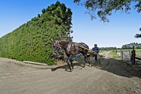 Photo of property in 139 Harmans Road, Leeston, 7682