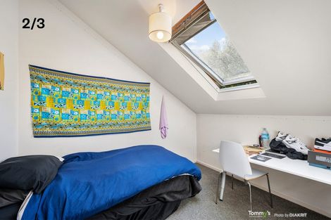 Photo of property in 3 Alameda Terrace, Aro Valley, Wellington, 6021