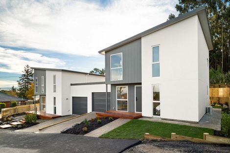 Photo of property in 49b Torquay Street, Abbotsford, Dunedin, 9018