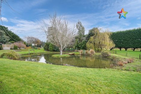 Photo of property in 220 Mill Road South, Seaward Bush, Invercargill, 9871
