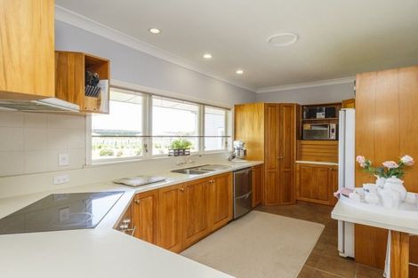 Photo of property in 117 Clevely Line, Bunnythorpe, Palmerston North, 4478