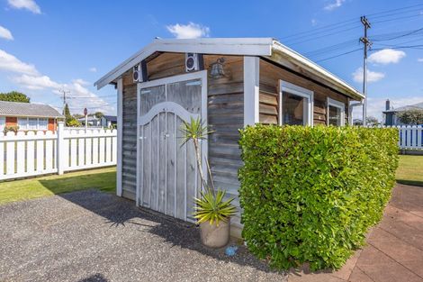 Photo of property in 390 Young Street, Te Awamutu, 3800