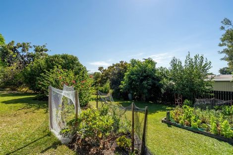 Photo of property in 769 East Coast Road, Northcross, Auckland, 0630
