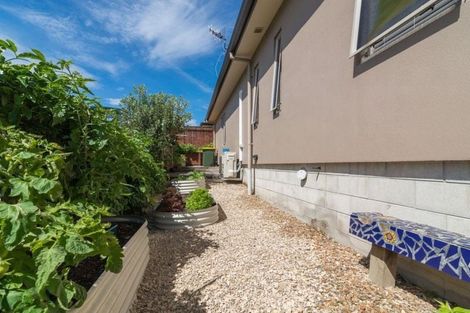 Photo of property in 12b Regent Street, Springfield, Rotorua, 3015