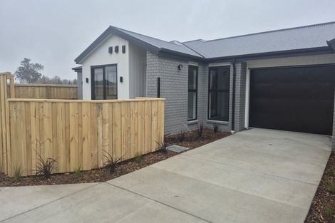 Photo of property in 52 Derbridge Street, Woodend, 7610