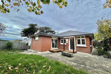 Photo of property in 39 Ventnor Street, Mornington, Dunedin, 9011