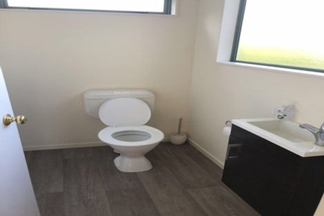 Photo of property in 28 Clarkin Road, Fairfield, Hamilton, 3214