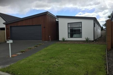 Photo of property in 17 Berg Way, Belfast, Christchurch, 8051