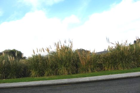 Photo of property in 46 Onslow Street, Bluff, 9814