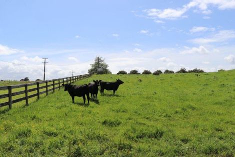 Photo of property in 99 Robson Road, Ngahinapouri, Hamilton, 3290