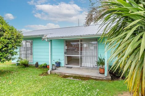 Photo of property in 16 Adkin Avenue, Levin, 5510