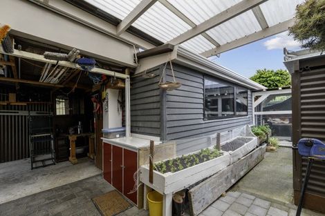 Photo of property in 8 Cornwall Street, Gate Pa, Tauranga, 3112