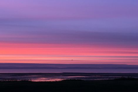 Photo of property in 903 East Coast Road, Kaiaua, Pokeno, 2473