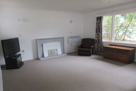 Photo of property in 216 Roslyn Road, Levin, 5510