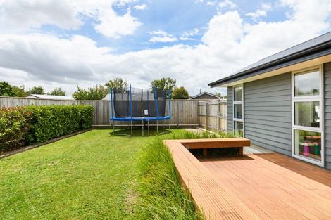 Photo of property in 96a Sherwill Street West, Feilding, 4702