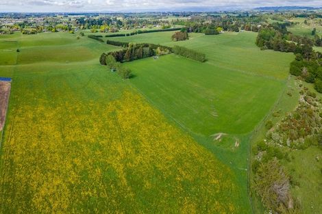 Photo of property in 509 Pages Road, Gleniti, Timaru, 7974