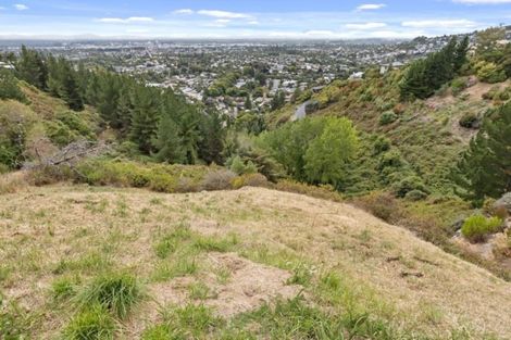Photo of property in 25 Iles Lane, Cashmere, Christchurch, 8022