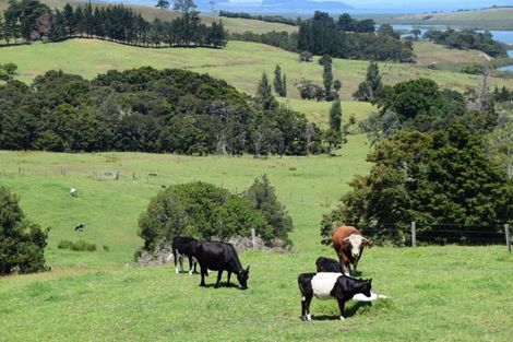 Photo of property in 133 Run Road, Wharehine, Wellsford, 0977