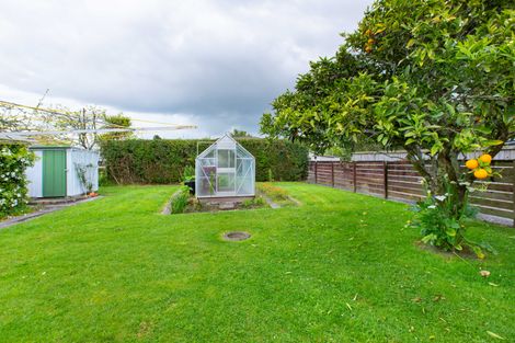 Photo of property in 37 Haultain Street, Fairfield, Hamilton, 3214