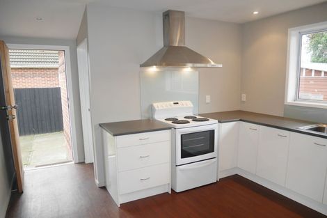 Photo of property in 145 Buchanans Road, Hei Hei, Christchurch, 8042