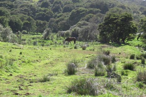 Photo of property in 2043 The 309 Road, Kaimarama, Whitianga, 3591