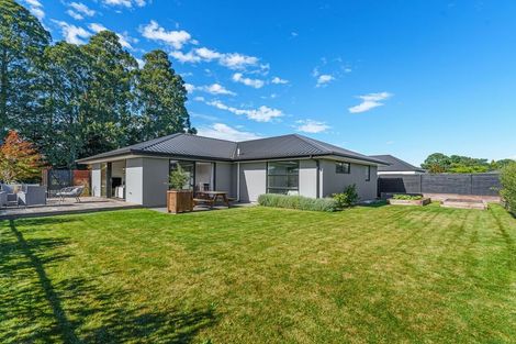 Photo of property in 1041 Goulds Road, Rolleston, 7614